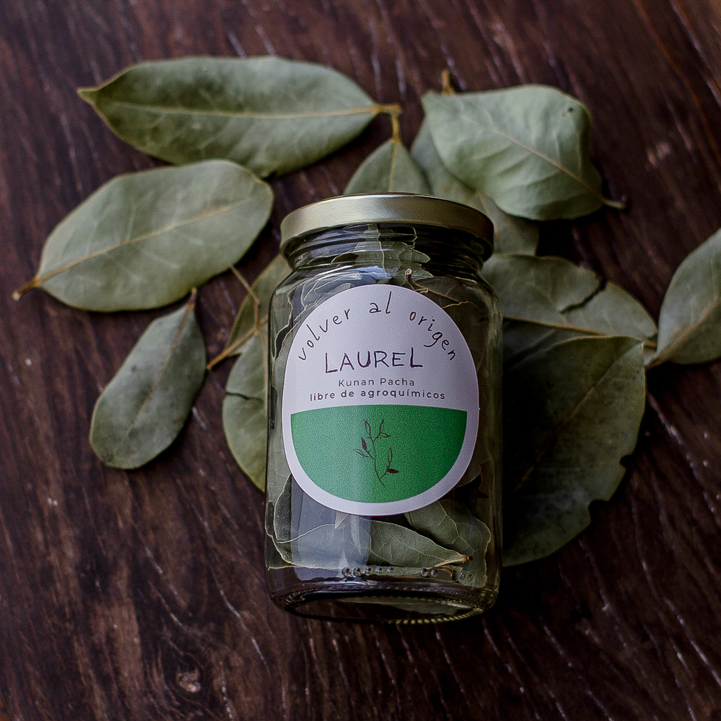 Laurel. HSC