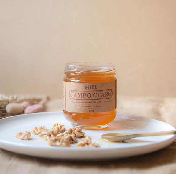 Miel Pura de Abejas 500g - Campo Claro