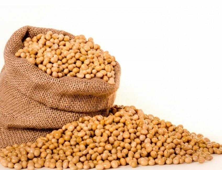 POROTOS DE SOJA SALVE LA TIERRA 500 GR