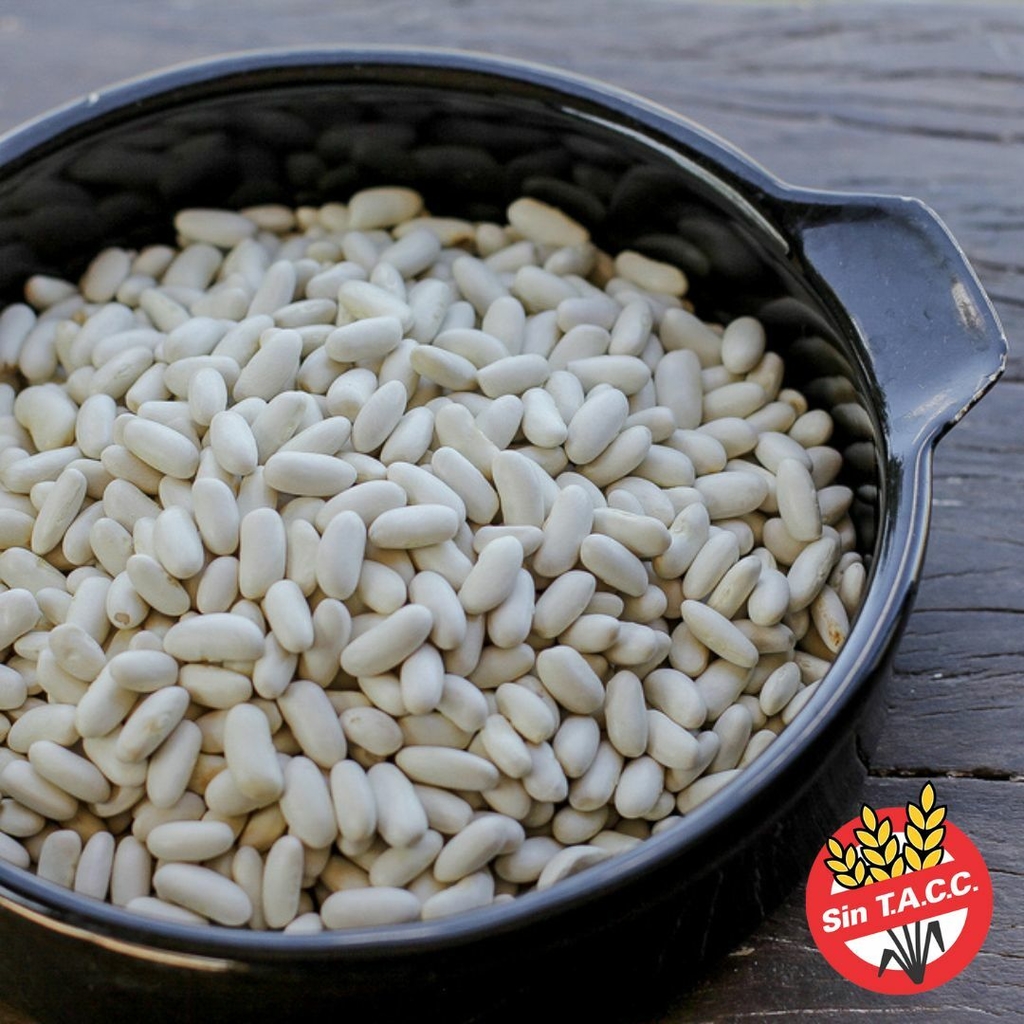 Poroto Blanco Organico 500gr. Terra Sana