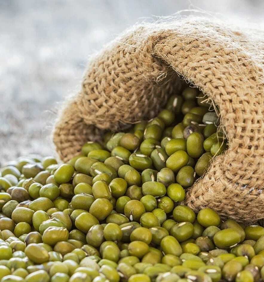 POROTOS MUNG SALVE LA TIERRA 500 GR