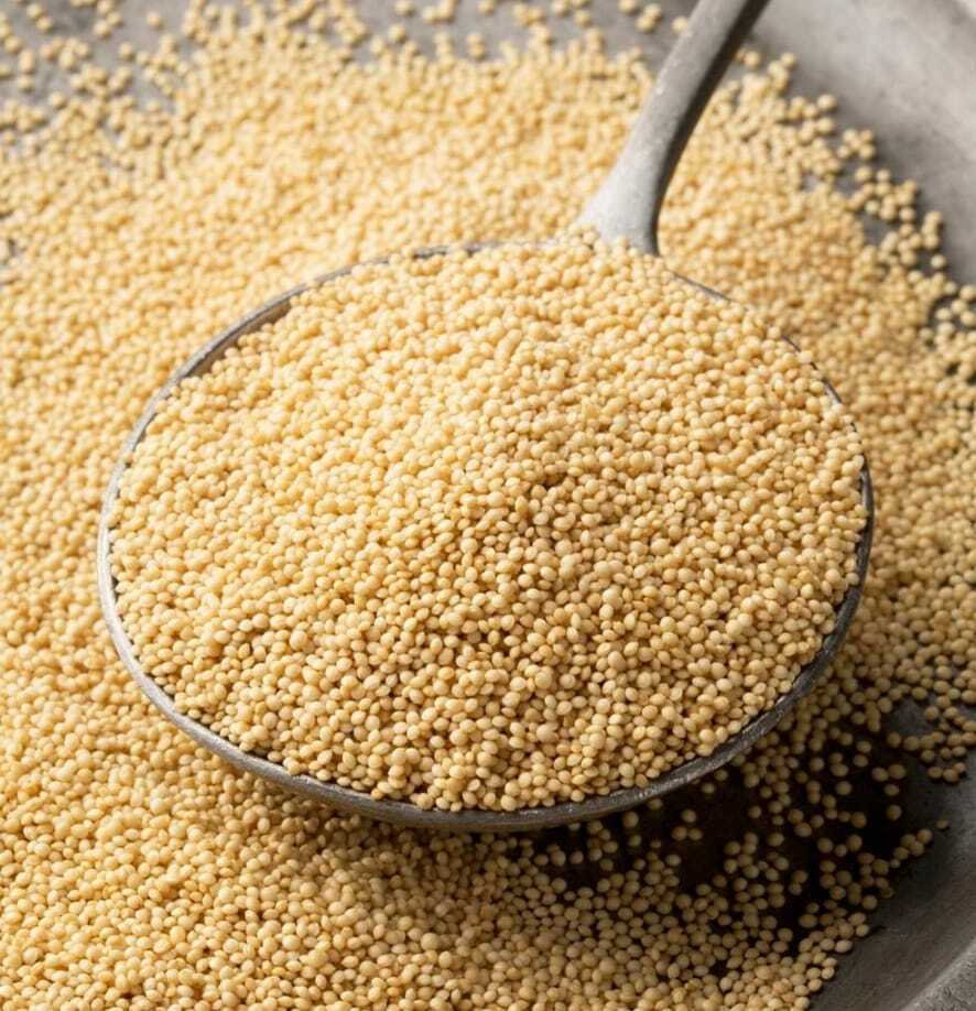 AMARANTO SALVE LA TIERRA 500 GR