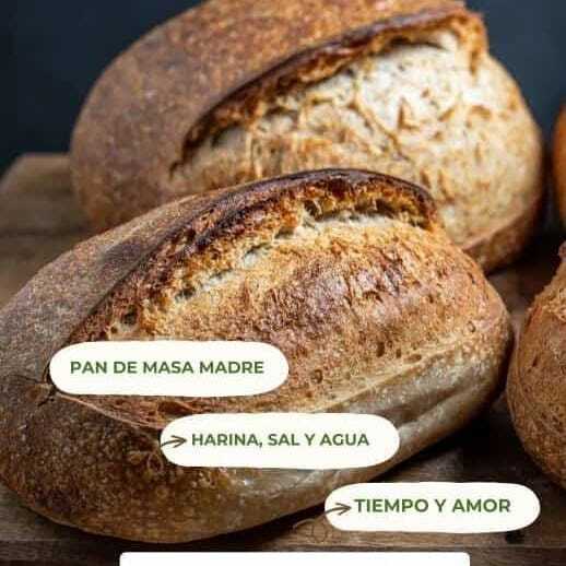 PAN DE MASA MADRE