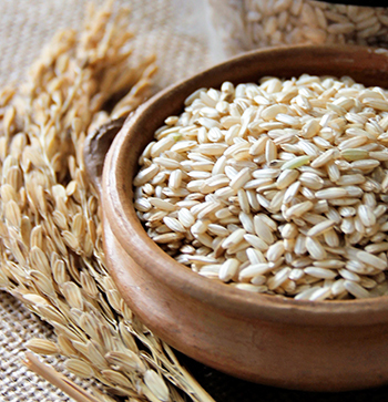 Arroz Carnaroli Integral Organico 500gr Pampa´s